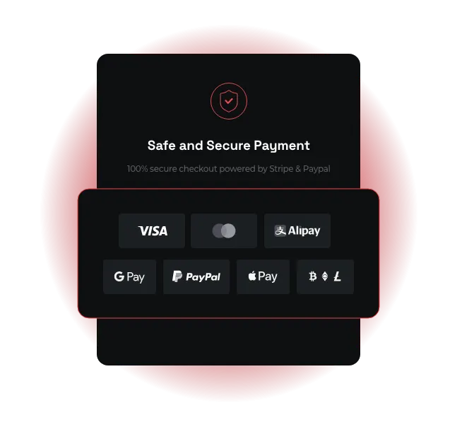 Checkout card showing the accepted payment methods